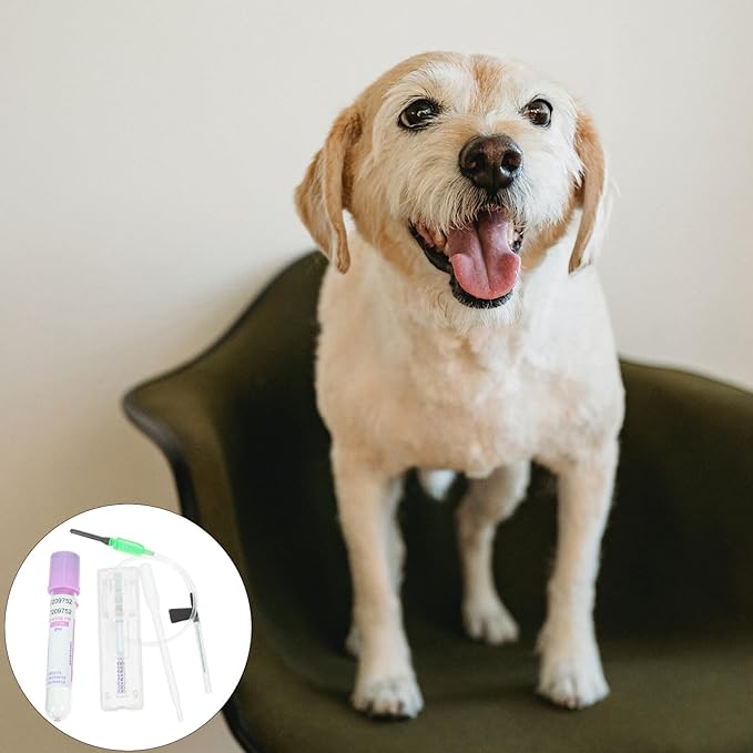 Dog Pregnancy Test Kit at Home, Fast Accurate Detection Pregnant Test Paper Strip for Dog, Cat Veterina Disposable Pet Clinic Equipment - Instructions are on The Details Page