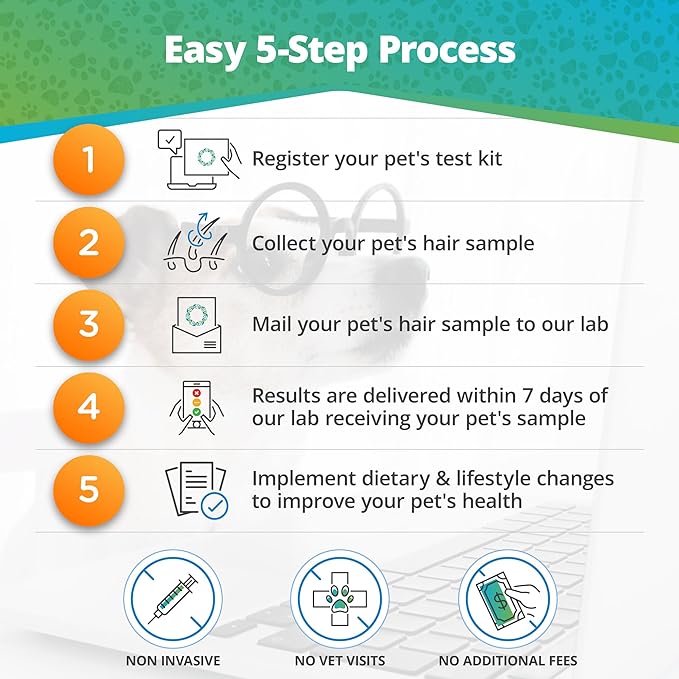 5Strands Pet Food Intolerance Test, at Home Sensitivity Test for Dogs & Cats, 272 Items, Hair Analysis, Accurate for All Ages and Breed, Results in 5 Days - Protein, Grain, Preservatives