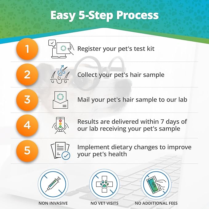 5Strands Pet Raw Food Intolerance Test, at Home Sensitivity Test for Dogs & Cats, 312 Items, Hair Analysis, Accurate for All Ages and Breed, Results in 5 Days - Chicken, Beef, Duck