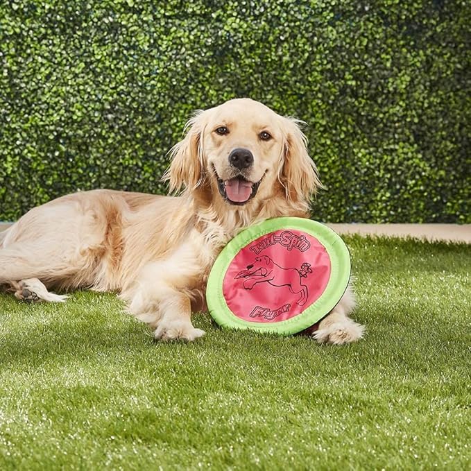 Chuckit! Petmate Booda Tail-Spin Flyer Floating Dog Frisbee, Multi, 10-Inch