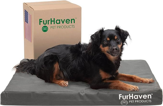 Furhaven Water-Resistant Memory Foam Dog Bed for Medium/Small Dogs w/ Removable Washable Cover, For Dogs Up to 35 lbs - Indoor/Outdoor Logo Print Oxford Polycanvas Mattress - Stone Gray, Medium