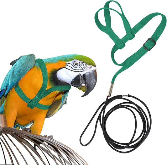 Large Bird Harness and Leash, Bird Harness for Large Parrot, Adjustable Parrot Training Flight Harness Leash for Medium Large Bird Parrot African Grey Amazon Macaw (Green, M)