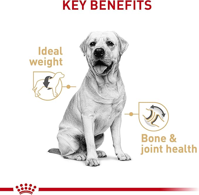 Royal Canin Labrador Retriever Loaf in Sauce Canned Dog Food, 13.5 oz can (12-count)