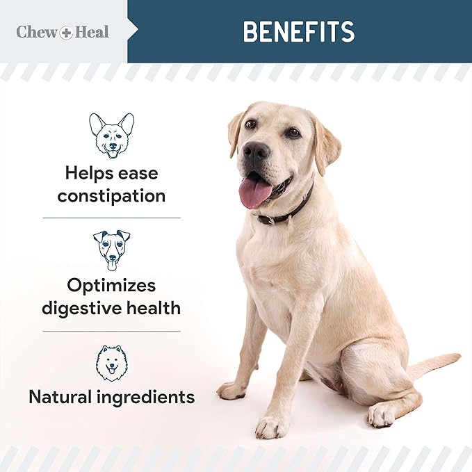 Digestive Enzymes with Probiotics for Dogs - 120 Soft Chews - Supports Healthy Digestive Tract, Helps Nutrient Absorption, Food Digestion, and Health Maintenance