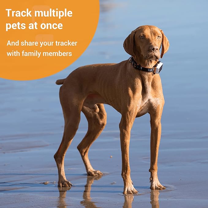 3s GPS Tracker for Dogs Up to 30-Day Battery Life, Waterproof Pet Health Monitor | Live Location Tracking | Unlimited Range | Escape Alert | Remote Voice Recall | Fits for Dogs & Cats (7 lbs)