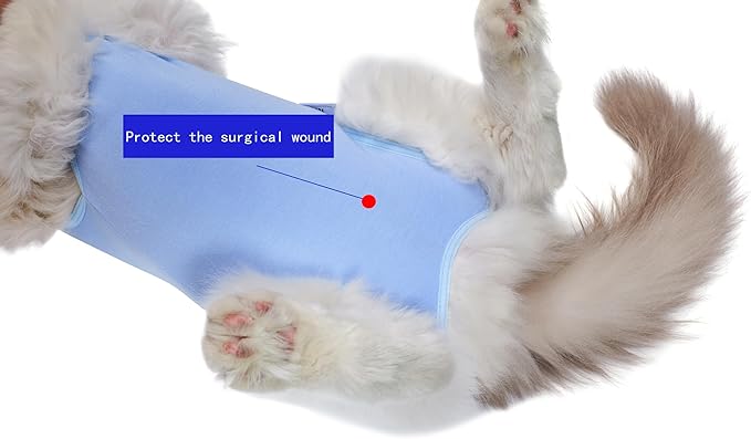 Cat Surgery Recovery Suit Female Kitten Cat Onesie for Cats After Surgery Spay Surgical Abdominal Wound Skin Diseases Cone Collar Soft Alternative Wear (Blue, M)