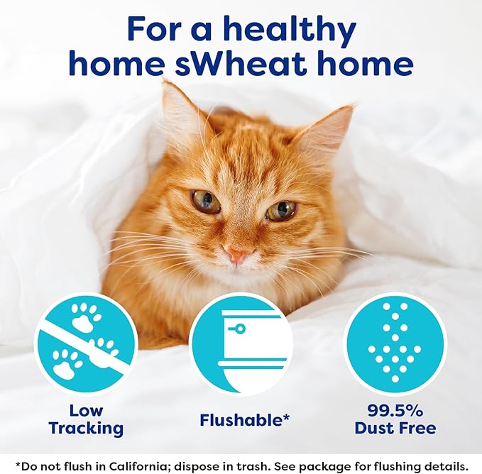 Natural Wheat Cat Litter, Original, Fast Clumping with Odor Neutralizing Enzymes, 14 Pound Bag