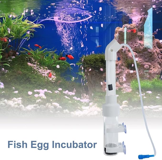 MiOYOOW Fish Egg Incubator, 40/50mm Aquarium Cichlids Fish Hatchery Isolation Fish Breeding Box for Aquarists