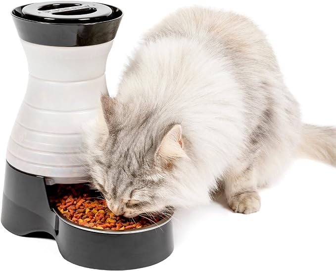 PetSafe Healthy Pet Food Station - Small, 2 lb Kibble Capacity - Gravity Pet Feeder Dry Food Dispenser - Automatic Cat Feeder or Small Dog Feeder - Removable Stainless Steel Bowl Included