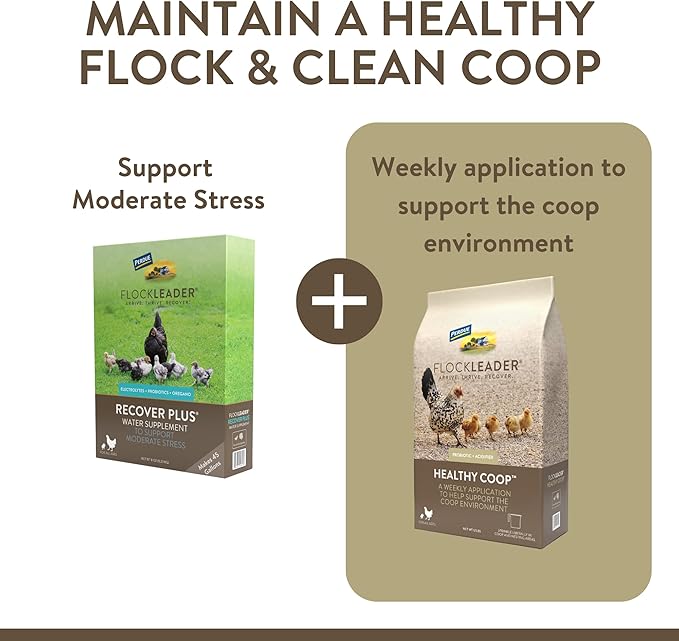 Recover Plus Moderate Stress Probiotic Water Supplement for Chickens with Electrolytes & Oregano, 8 oz