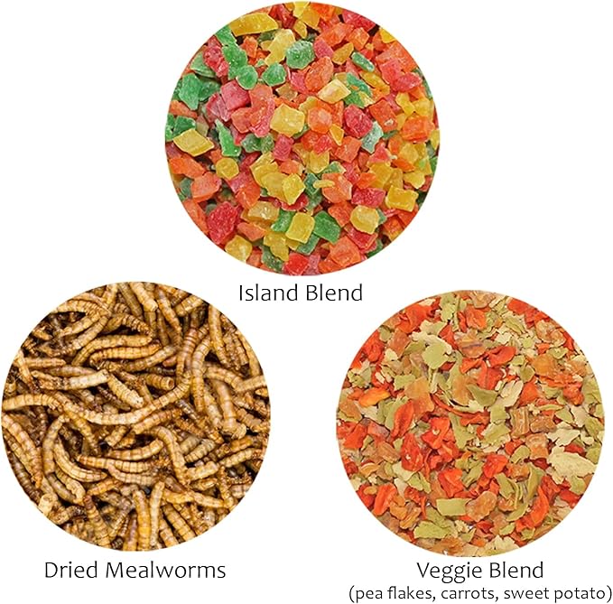 Treat Assortment 3 Pack - Pet Treats with Mix of Dried Fruits, Dried Insects, & Other Crunchies - for Sugar Gliders, Hedgehogs, Squirrels, Rabbits, Marmosets, Rats, Hamsters - Sample Variety