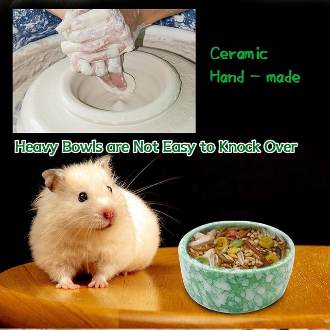 kathson 4 Pcs Hamster Food Bowl Guinea Pig Ceramic Water Bowl Small Animal Feeding Dish for Dwarf Hamster Gerbil Syrian Ferret Hedgehog Chinchilla Bunny (Green)