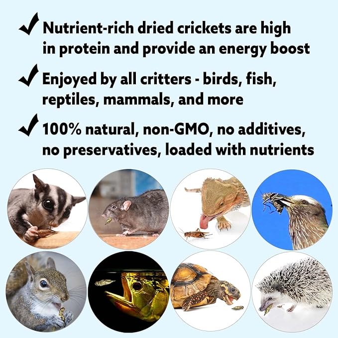 1.5 Pound Dried Crickets - High Protein Insect Treat - Chickens, Wild Birds, Hedgehogs, Bluebirds, Reptiles, Sugar Gliders, Opossums, Skunks, Lizards, Bearded Dragons, Fish, Turtles 8 oz. (3 Pack)