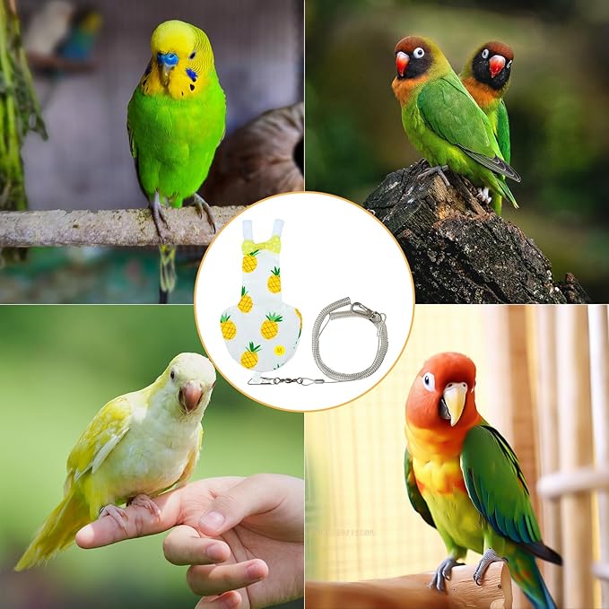 Bird Diaper Parrot Flight Suite with Flying Leash, Bird Clothes for Parrots, Conures, Monk Parakeets, Quaker Parrots, Green-Cheeked Conure, Black-Headed Caique, Chick, Ducks (Medium)