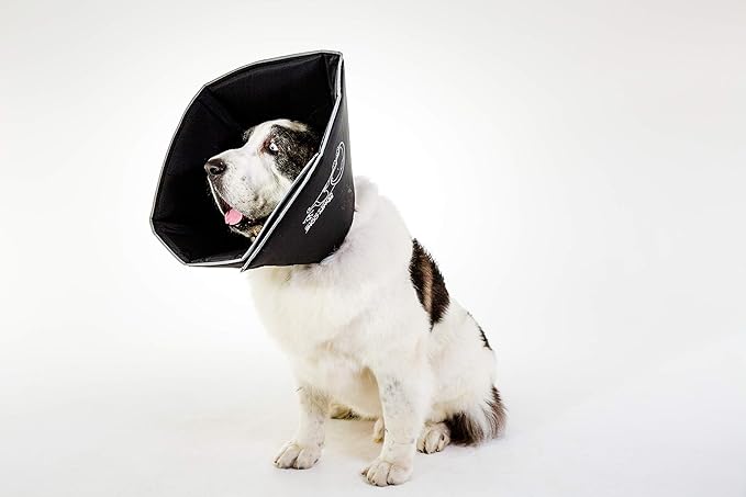 Comfy Cone Pet Cone for Dogs, Cats, XX-Large, Black - Comfortable Soft Dog Cone Collar Alternative for After Surgery, Wound Care, Spay, Neuter - Dog and Cat Recovery Collar