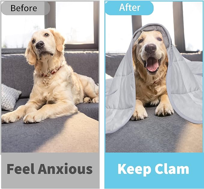 Dog Cooling Blanket, 0.4 Q-MAX Cooling Blanket For Large Dogs Washable, Cool To Touch Dog Blankets For Bed Cover, Soft Lightweight Cooling Dog Blanket Help Your Pet Sleep Well In Summer (43"×55"/Grey)