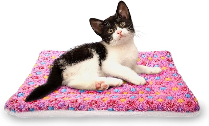 Fluffy Pet Cat Blanket Soft Coral Velvet Pet Puppy Cushion Mat Warm Cover Soft Pad Mat M Pink
