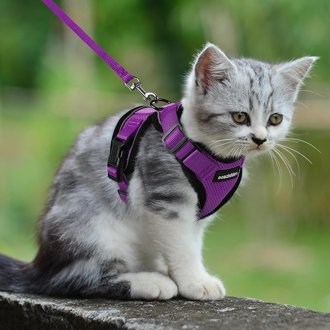 rabbitgoo Cat Harness and Leash for Walking, Escape Proof Soft Adjustable Vest Harnesses for Cats, Easy Control Breathable Reflective Strips Jacket, Purple, XXS