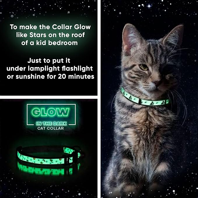 Pawtitas Glow in The Dark Cat Collar with Safety Buckle and Removable Bell Cat Collar Kitten Collar Pink Cat Collar