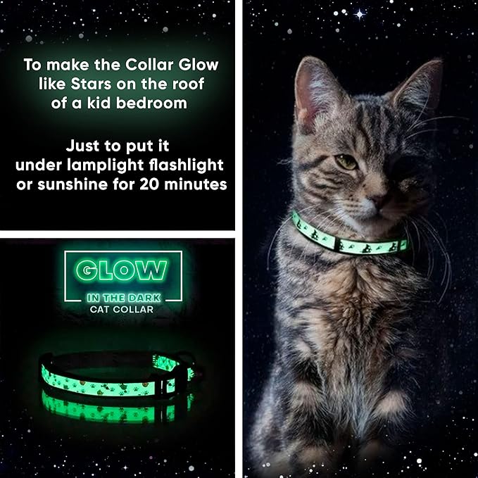 Pawtitas Halloween Cat collars for cats adjustable collar glow in The dark feature and Safety breakaway Buckle and Removable Bell to match your halloween cat's costume - Halloween Gray Pattern