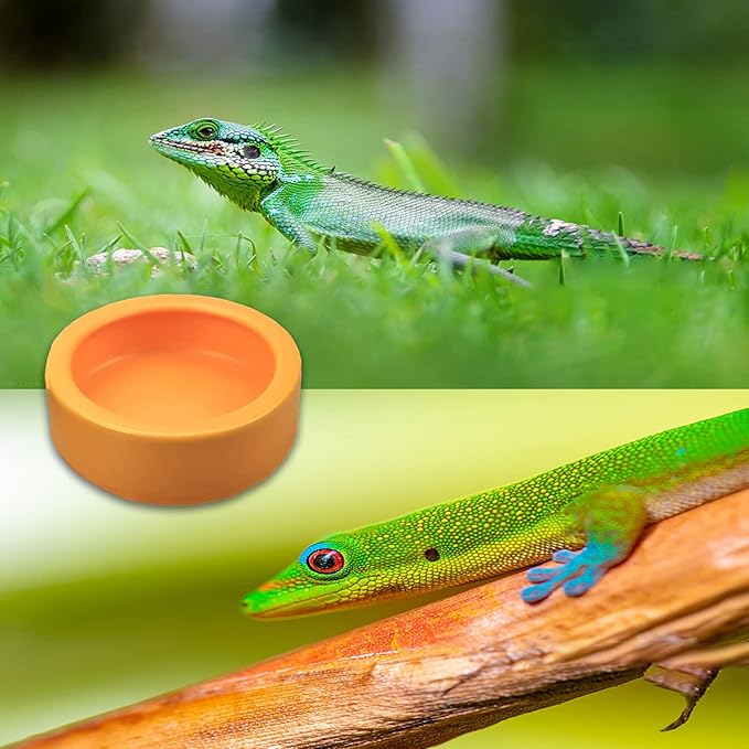 2 Pack Worm Dish Reptile Food Bowl Bearded Dragon Ceramic Bowl with Feeding Tongs (Yellow-Medium)