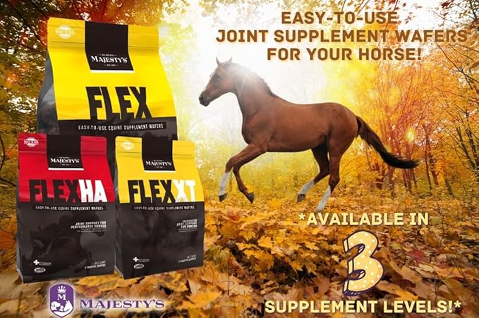 Majesty's Flex XT Wafers - Superior Horse/Equine Joint Support with Increased Supplement Levels - Glucosamine, MSM, Yucca, Vitamin C (Peppermint, 60 Count)