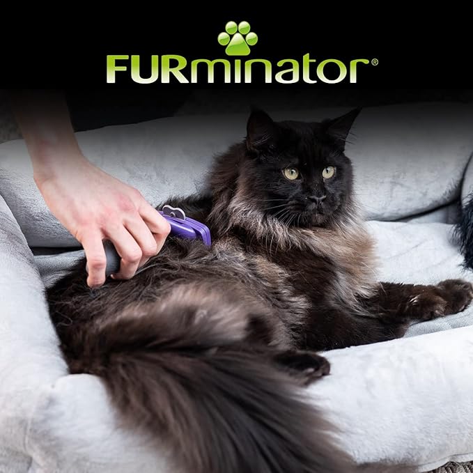 FURminator Undercoat Deshedding Tool for Medium/Large Long Hair Cat, M