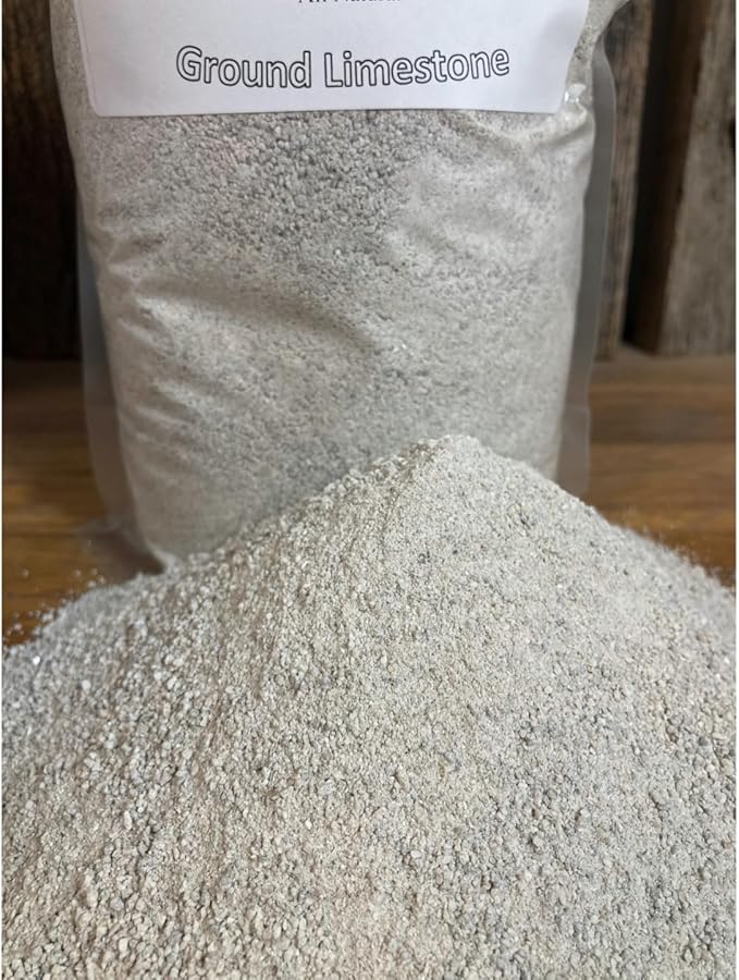 Small Bird Calcium Carbonate - Fine Ground All Natural Limestone - Egg Strength - Pullet, Quail, Pigeon, Parakeet (6 Pound)