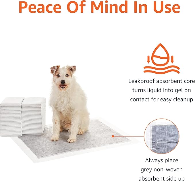 Amazon Basics Dog and Puppy Pee Pads with 5-Layer Leak-Proof Design and Quick-Dry Surface for Potty Training, Odor-Control Carbon, XL, 28 x 34 Inch - Pack of 50, Gray