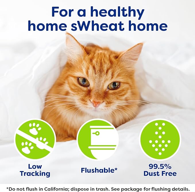 Natural Wheat Multi-Cat Litter, Superior Clumping with Odor Neutralizing Enzymes, 14 Pound Bag