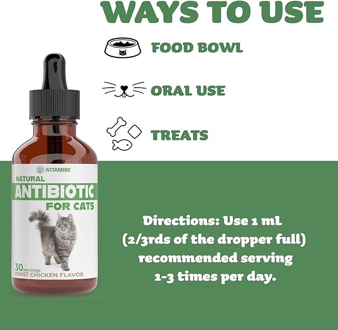 Natural Alternative Cat Antibiotic | Cat Antibiotics | Antibiotics for Cats | Antibiotic for Cats | Cat Antibiotics for UTI | Cat UTI | Cat UTI Treatment | Cat UTI Antibiotics | 1 fl oz (1)