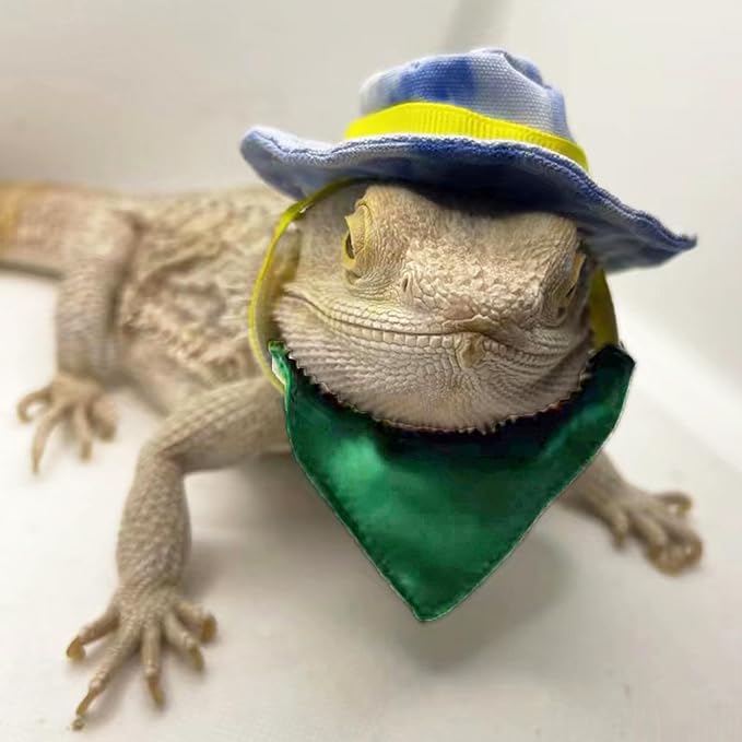 ADOGGYGO Bearded Dragon Cowboy Hat Bandana Set, Halloween Lizard Cowboy Costume Bearded Dragon Accessories Small Animal Reptile Cosplay Outfits (Cowboy Blue)