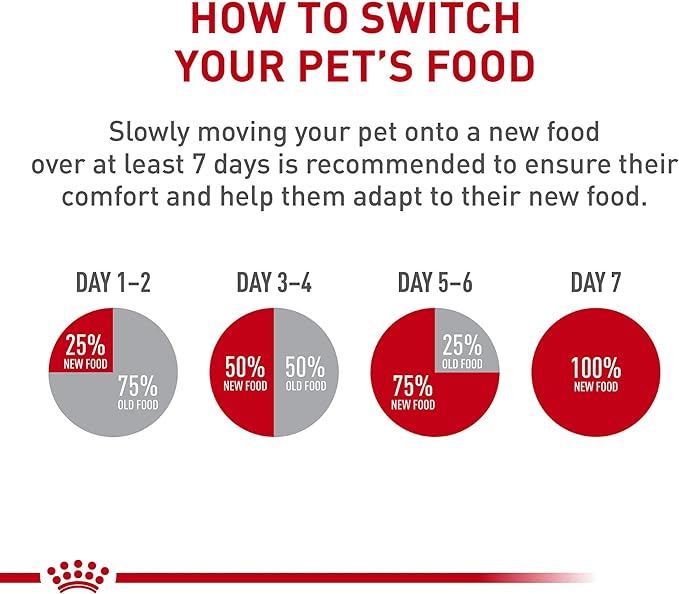 Royal Canin Canine Health Nutrition Adult Beauty Loaf in Sauce Canned Dog Food, 5.2 oz Can (Case of 24)