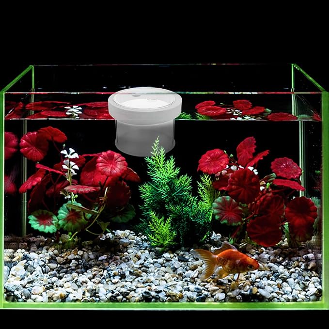 Mipcase Aquarium Box Floating Fish Box Acrylic Aquarium Fish Breeding Box Guppies Hatching Incubator Box for Fish Hatchery 10X10X8CM White Aquarium Box Small