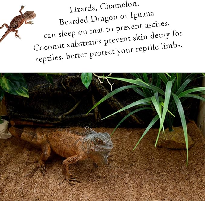 Reptile Carpet Natural Coconut Fiber, 36" x 18" Tortoise Carpet Mat for Pet Terrarium Liner, Reptile Bedding Supplies for Lizard, Snake, Chameleon, Turtle, Bearded Dragon (2 Pack)