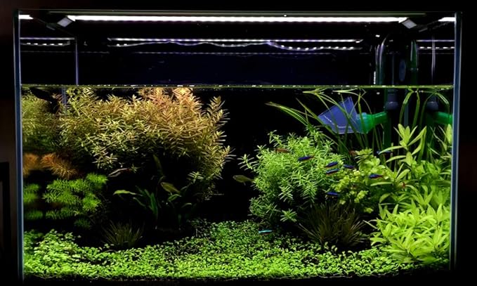 Finnex Stingray 2.0 Aquarium LED Light, Blue Fish Moonlights, 660nm