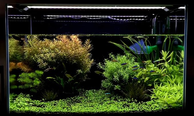Finnex Stingray 2.0 Aquarium LED Light, Blue Fish Moonlights, 660nm