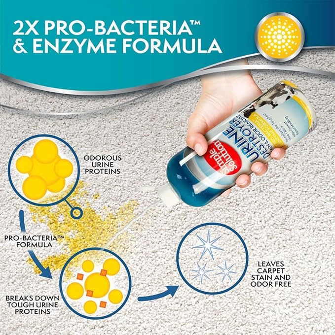 Simple Solution Urine Destroyer Enzymatic Cleaner | Pet Stain and Odor Remover with 2X Pro-bacteria Cleaning Power | 32 Ounces