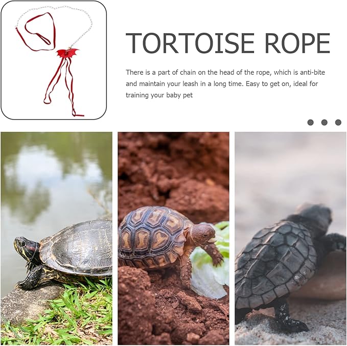 Turtle Wing Design Harness Strap Chest Collar Adjustable Rope Walking Control Rope Great for Turtle Reptile (Red Lï¼‰