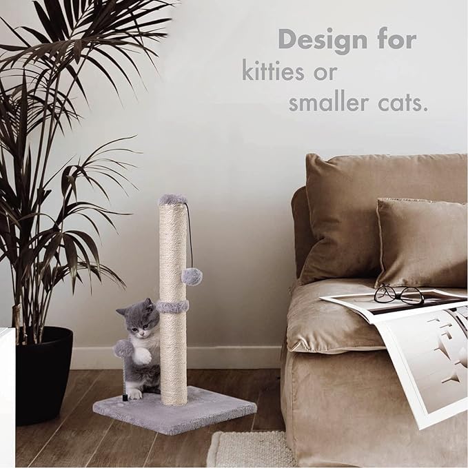 Cat Scratching Post Premium Basics Kitten Scratcher Sisal Scratch Posts with Hanging Ball 22" for Kittens or Smaller Cats (22 inches for Kitten, Gray)