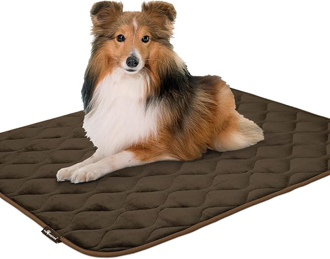 Paw Inspired Washable Padded Crate Mats for Dogs | 41” x 28” Pad, Fits 42-inch Kennels | Leakproof, Waterproof Bottom, Plush Pet Beds (Dark Brown)