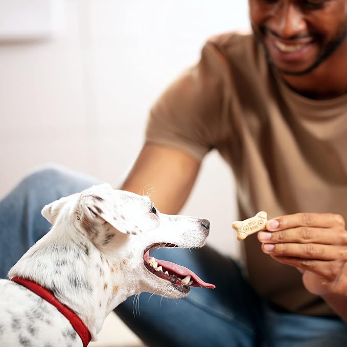 Milk-Bone Mini's Original Dog Treats, 15 Ounce (Pack of 6), Crunchy Biscuit Helps Clean Teeth