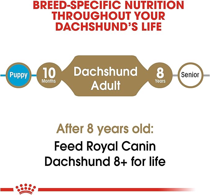 Royal Canin Dachshund Adult Breed Specific Dry Dog Food, 10 Lb bag