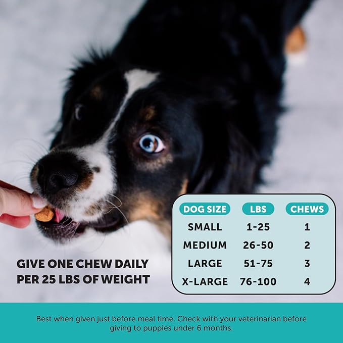 Pet Honesty Hemp Calming Chews for Dogs - Dog Anxiety Relief, Dog Calming Treats with Hemp + Valerian Root, Melatonin for Dogs - Helps Aid with Thunder, Fireworks, Chewing & Barking (Chicken 180 ct)