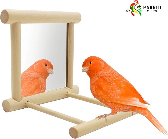 Bllesqelax Bird Parakeet Mirror for Cage,Parrot Perch Stand,Wooden Hummingbird Swing Toy,Parakeet Accessories for Cockatiels Conure Finch Lovebird Canary African Grey Macaw