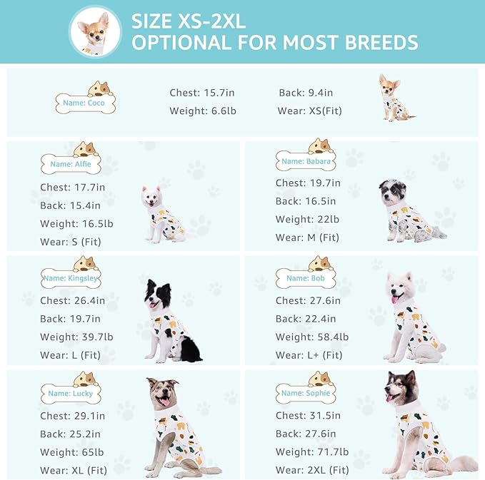 Recovery Suit for Dogs, Dog Surgery Recovery Suit with Zipper Closure Post Spay, Neuter, Abdominal Surgical Suit for Male Female Dogs Can Pee, Prevent Licking Dog Onesies, White Bear, XL