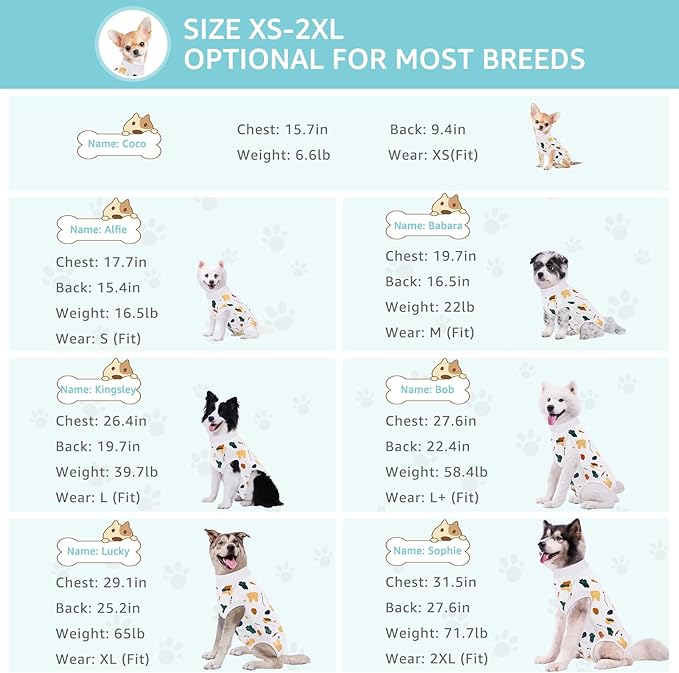Recovery Suit for Dogs, Dog Surgery Recovery Suit with Zipper Closure Post Spay, Neuter, Abdominal Surgical Suit for Male Female Dogs Can Pee, Prevent Licking Dog Onesies, White Bear, Large+