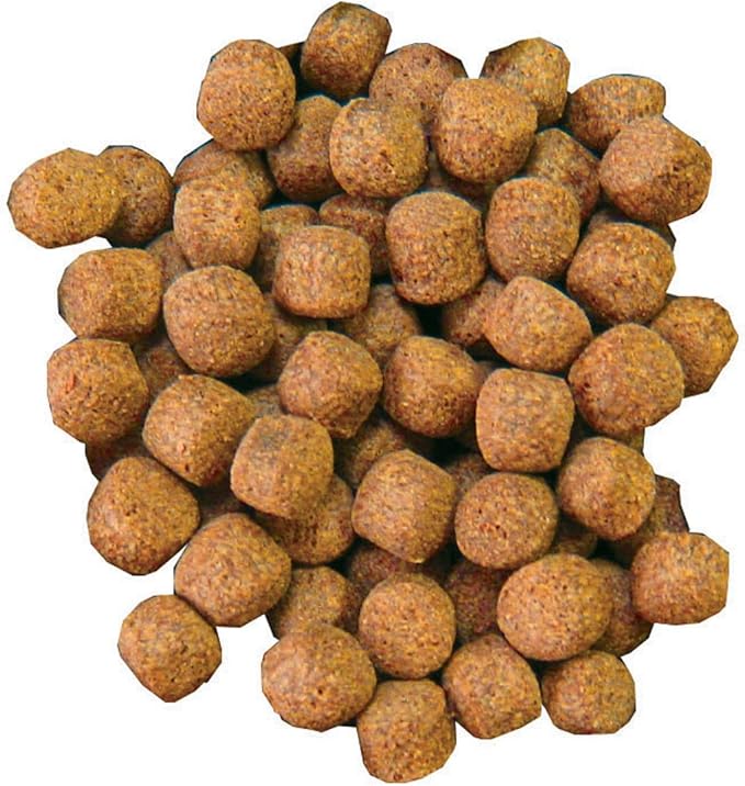 Aquascape Premium Staple Fish Food Pellets for Large Pond Fish, Large Pellet, 4.4 pounds | 98869