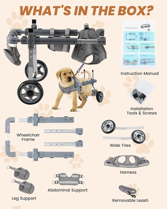 Adjustable Dog Wheelchair, Wheelchairs for Dogs, Pet Cart with Wheels, Dog Wheelchair for Back Legs Dashshund, Pet Wheel Chair with a Leash, Grey, S