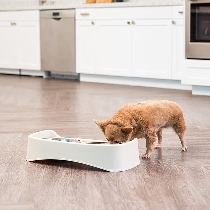 IRIS USA Elevated Dog Bowls, Adjustable Height, 2 Thick 64 oz Stainless Steel Bowls, Spill-Proof with Raised Outer Rim, Durable Made in USA Plastic, Easy Assemble, 2 Heights 4.63" or 12.25" Almond